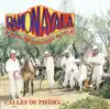 Ramón Ayala y Sus Bravos del Norte - Calles de Piedra (Remasterizado)